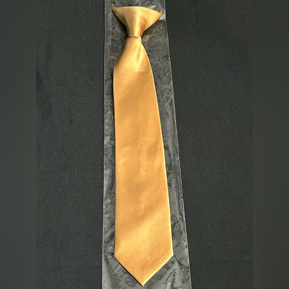 Alexander Logan Neckwear 2.5” Wide 14.5” Long Metallic Gold Clip On Mens Tie NWT